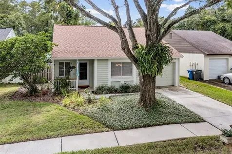 12424 Pepperfield Drive Tampa FL 33624