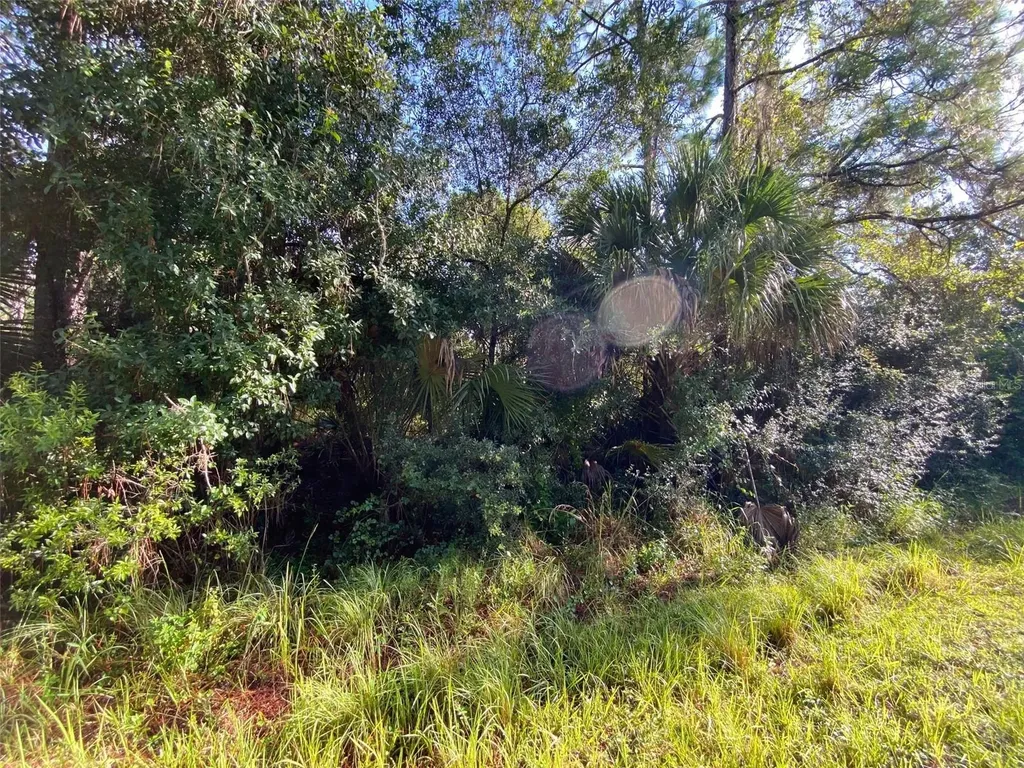 Lot 8 Sultan Avenue North Port FL 34286
