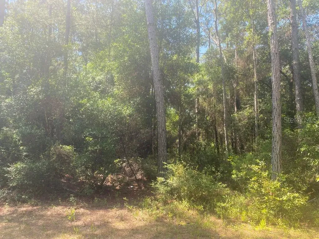 Tbd 155th Lane Fort Mc Coy FL 32134