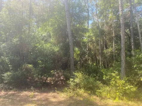 Tbd 155th Lane Fort Mc Coy FL 32134