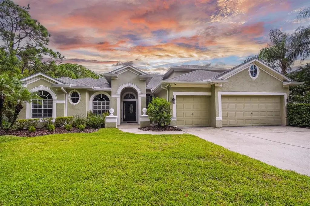 12935 Tar Flower Drive Tampa FL 33626