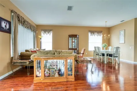 11338 Misty Isle Lane Riverview FL 33579