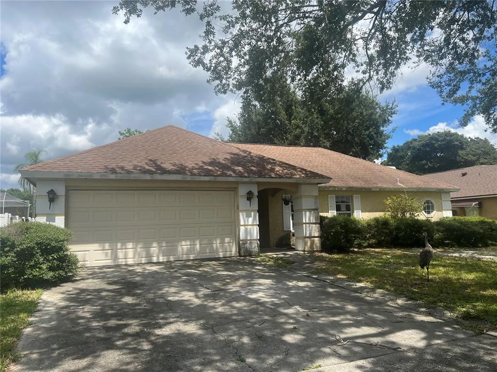 1404 Midoneck Court Valrico FL 33596