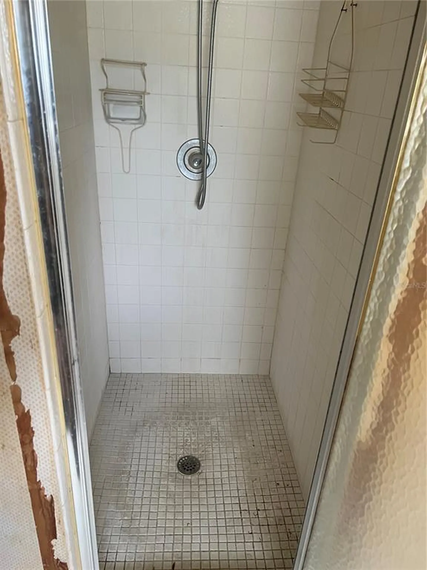 1404 Midoneck Court Valrico FL 33596