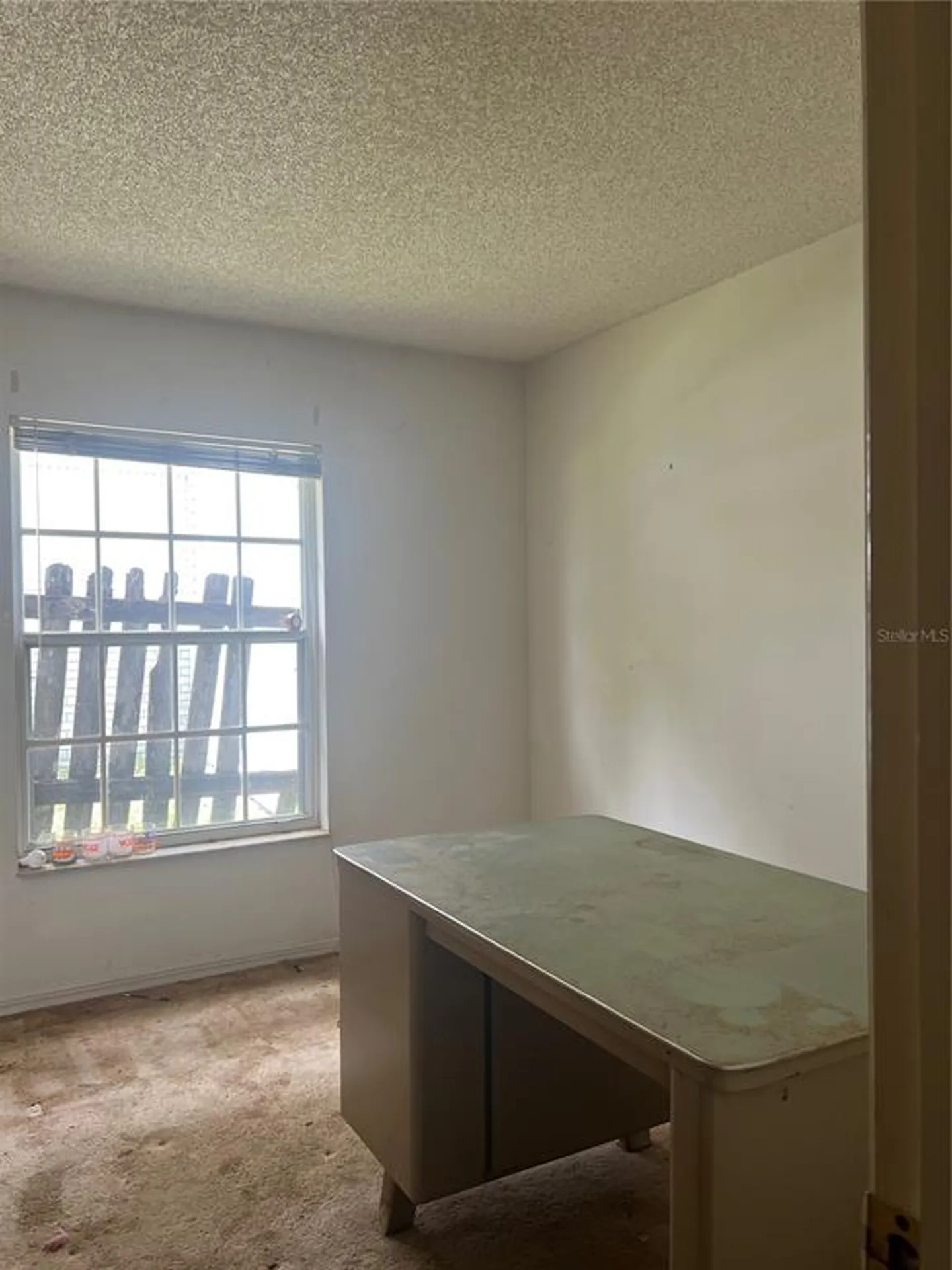 1404 Midoneck Court Valrico FL 33596