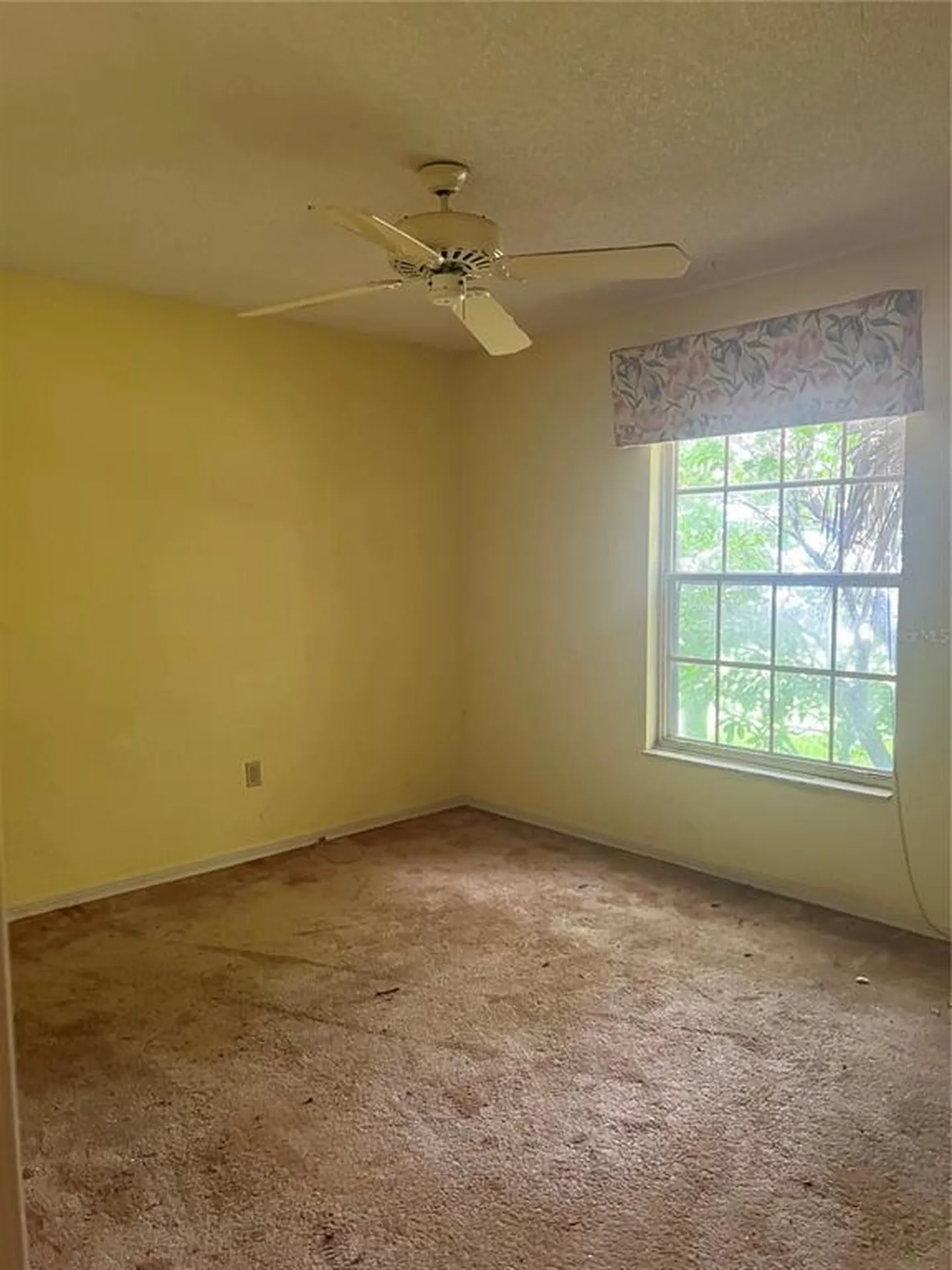 1404 Midoneck Court Valrico FL 33596