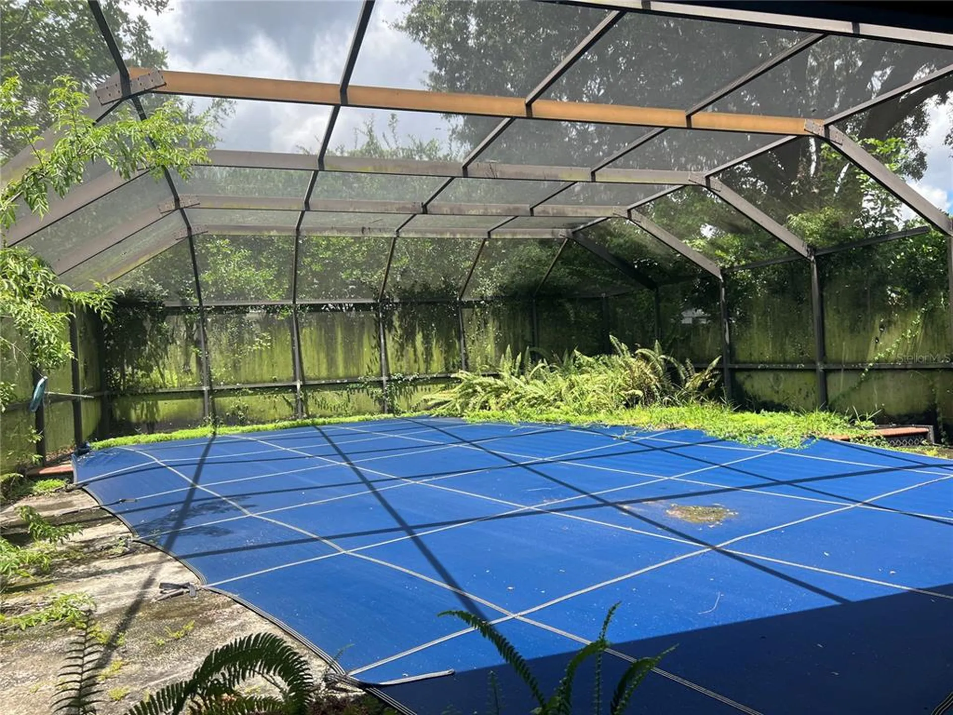 1404 Midoneck Court Valrico FL 33596