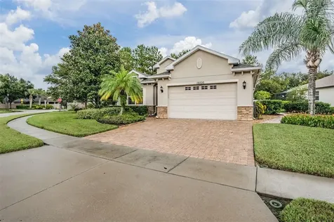 19330 Red Sky Court Land O Lakes FL 34638