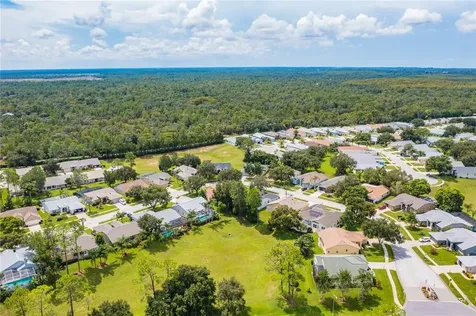 11449 Baronwood Court Hudson FL 34667