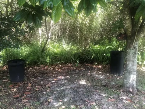 10845 Laxton Street Orlando FL 32824