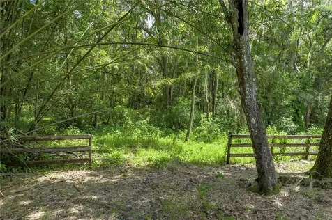 18526 Sweetbay Lane Dade City FL 33523