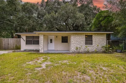2934 W Ellis Drive Tampa FL 33611