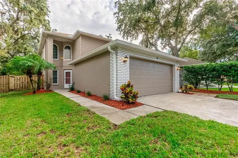 3666 Fremantle Drive Palm Harbor FL 34684
