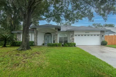 3900 Briarbrook Place Land O Lakes FL 34639