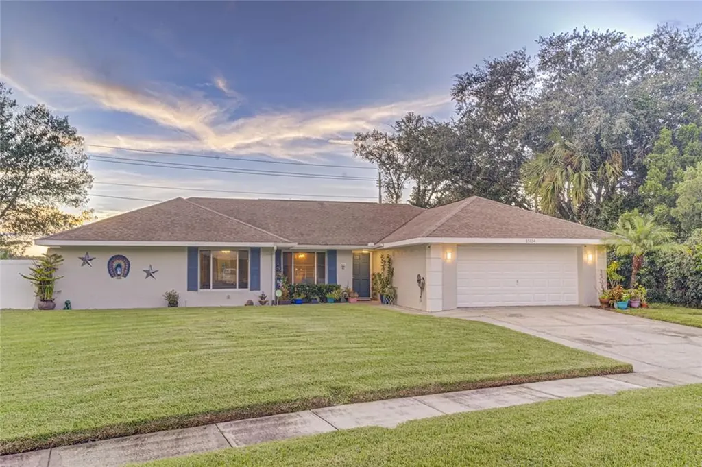15134 Springview Street Tampa FL 33624