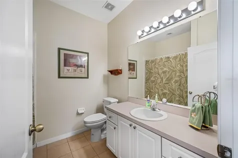 24629 Volterra Court Lutz FL 33559