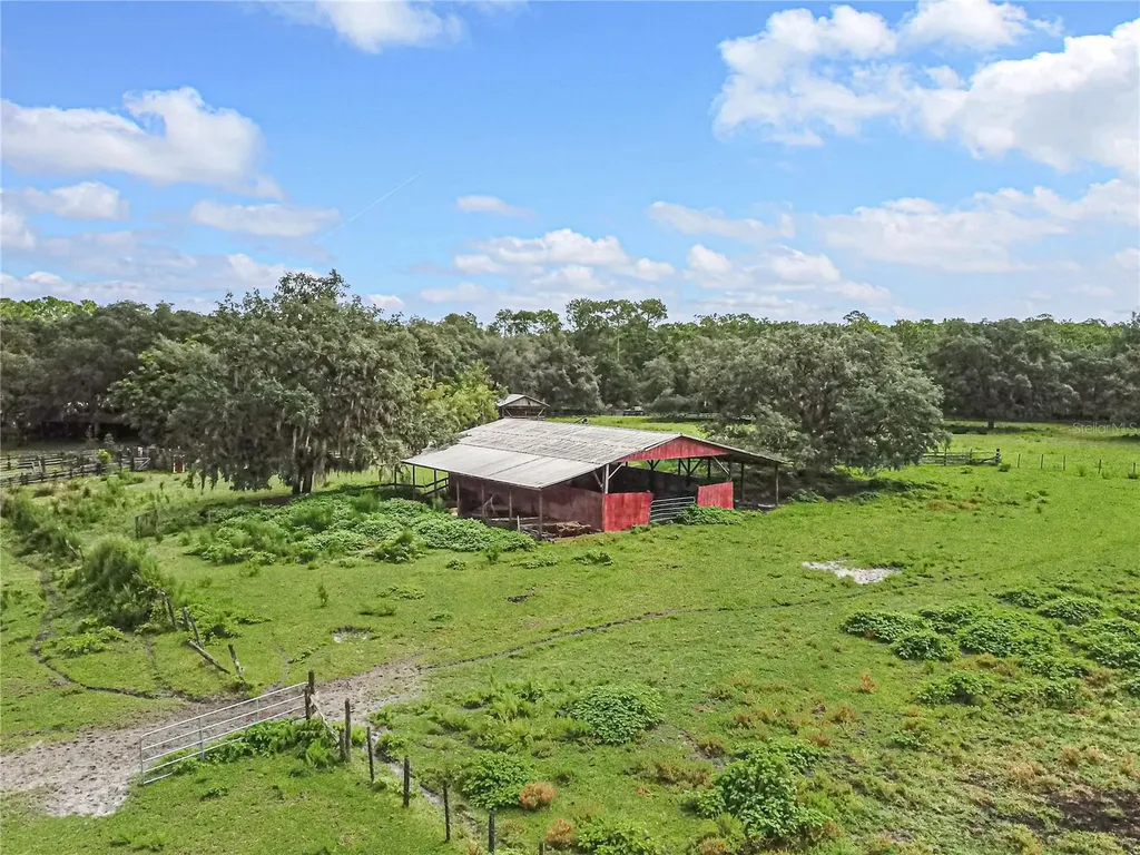 3350 NE 125th Terrace Road Silver Springs FL 34488