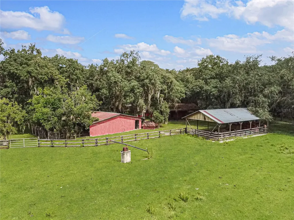 3350 NE 125th Terrace Road Silver Springs FL 34488