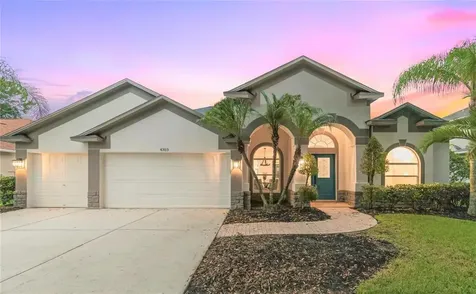 4303 Balington Drive Valrico FL 33596