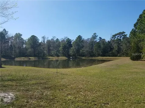 1804 Palmetto Pine Lane Orlando FL 32826