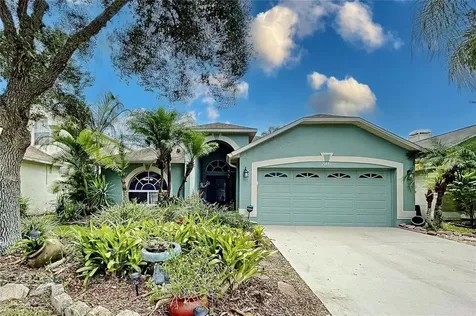 29443 Sea Dahlia Pass Wesley Chapel FL 33543