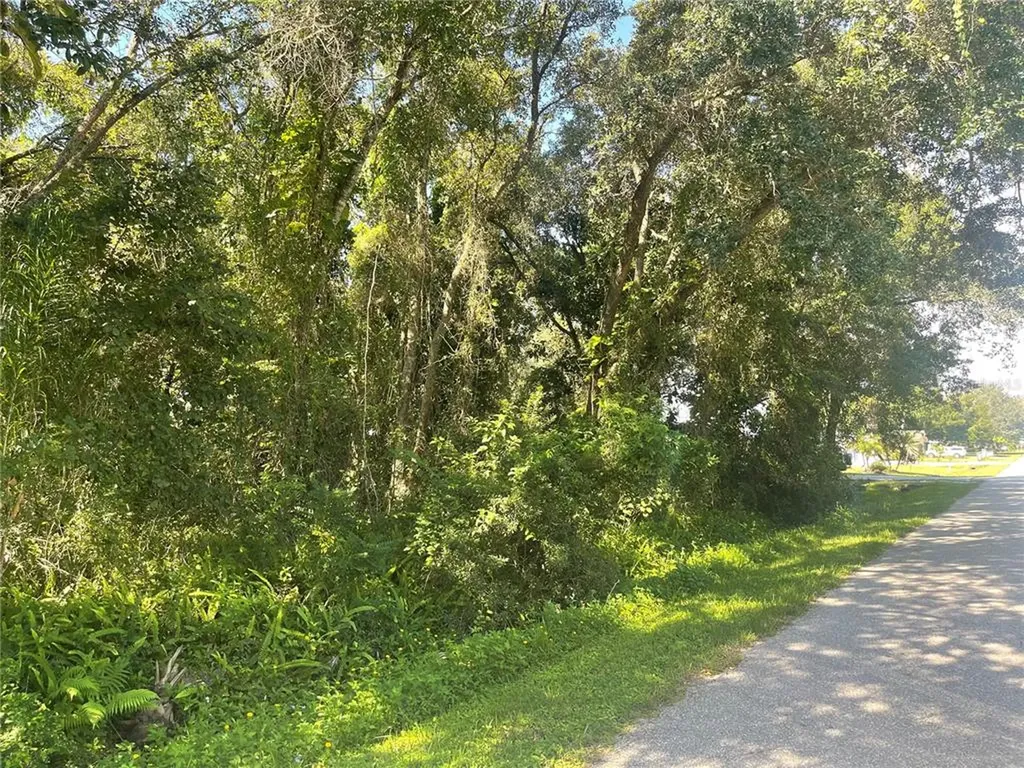 1785 SE Tangelo Drive Arcadia FL 34266