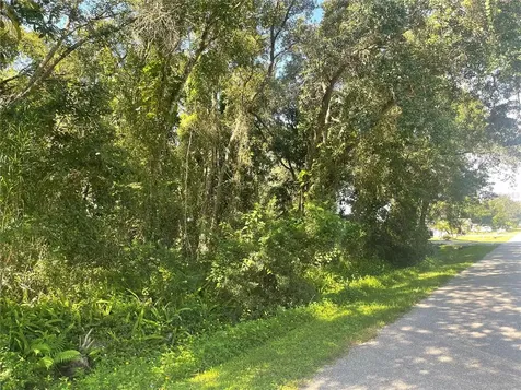 1785 SE Tangelo Drive Arcadia FL 34266
