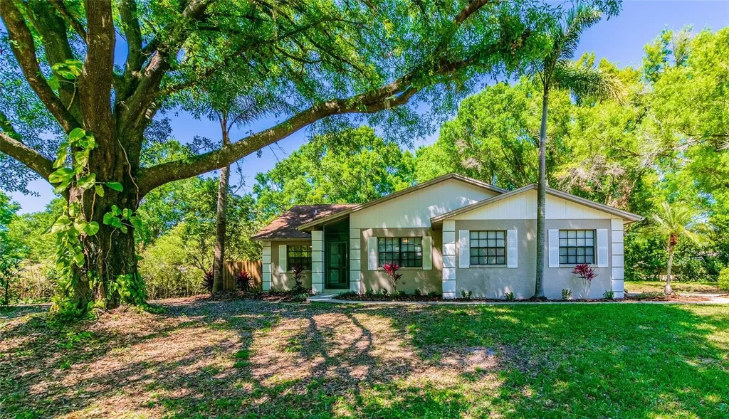 22373 Stillwood Drive Land O Lakes FL 34639