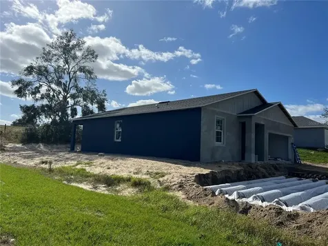 290 Malauka Loop Ocklawaha FL 32179