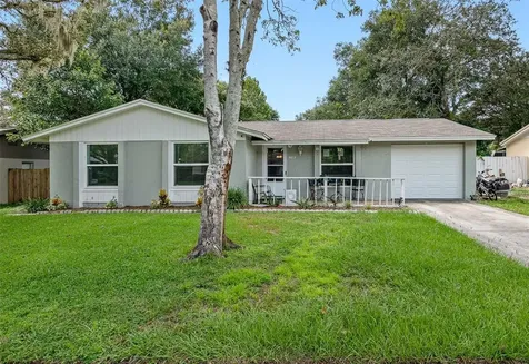 2233 Selkirk Street Valrico FL 33594