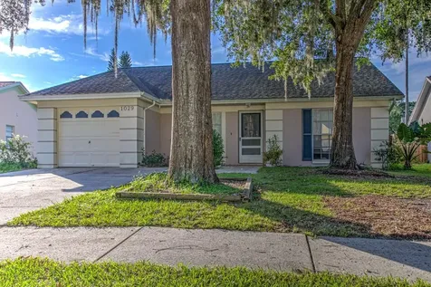 1029 Hardwood Drive Valrico FL 33596