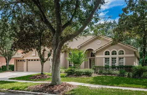 17801 Hickory Moss Place Tampa FL 33647
