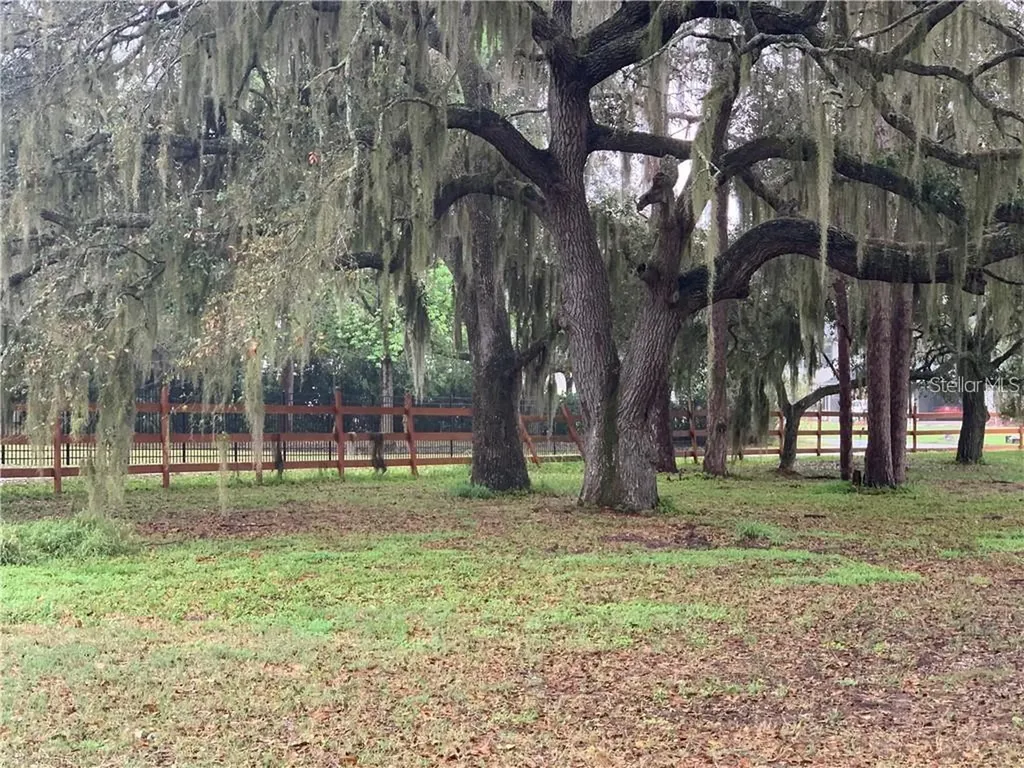 Marjorie Road St Cloud FL 34772