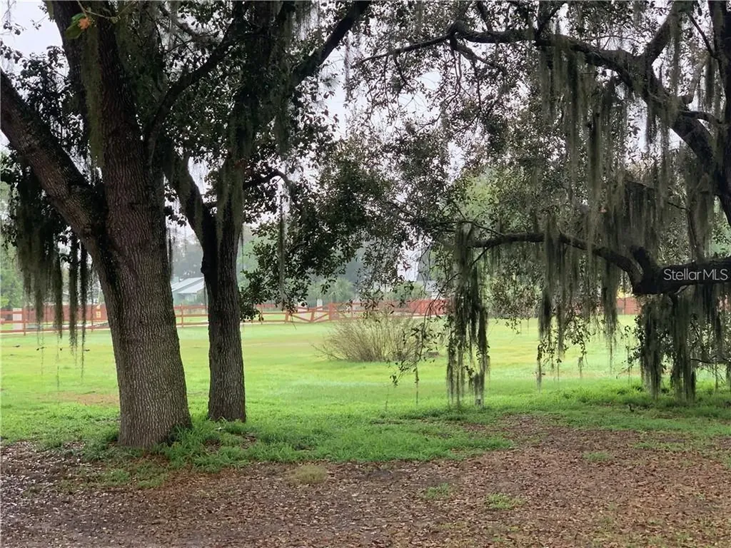 Marjorie Road St Cloud FL 34772