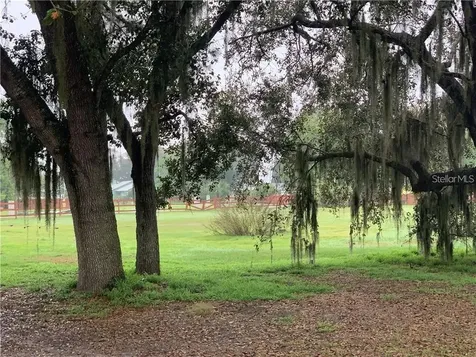 Marjorie Road St Cloud FL 34772