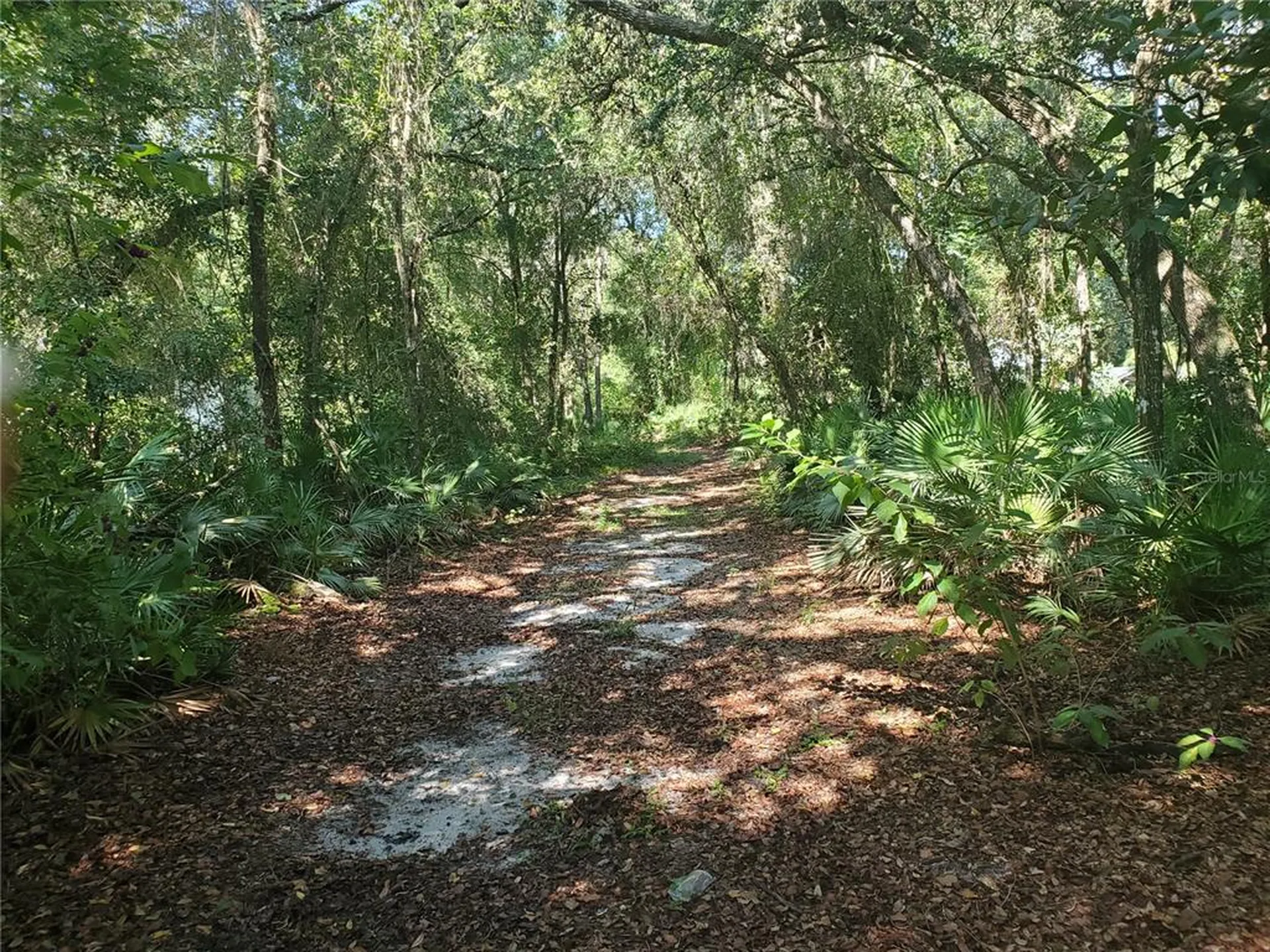 Pruitt Street Leesburg FL 34748