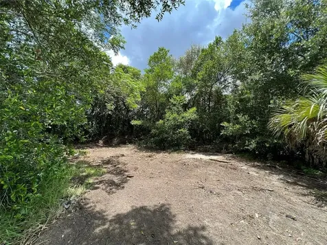 10318 Frierson Lake Drive Hudson FL 34669