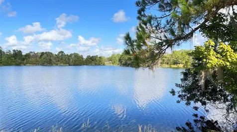 246 Oak Chase Place Davenport FL 33896