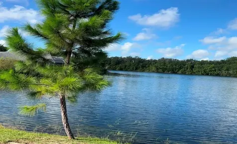 246 Oak Chase Place Davenport FL 33896