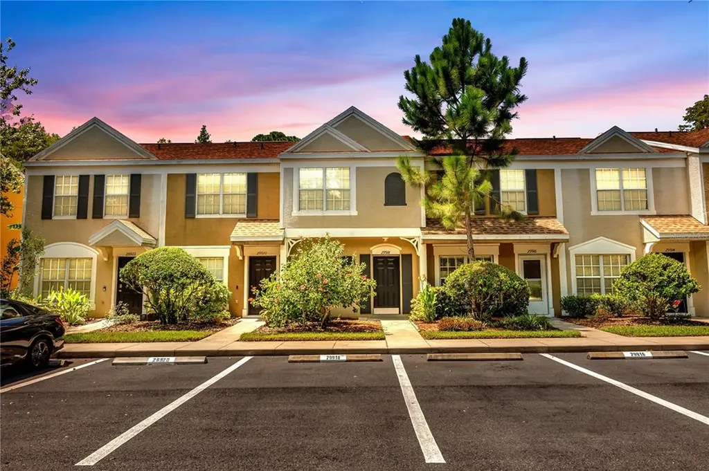 29918 Alta Vita Lane Wesley Chapel FL 33543