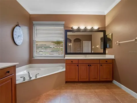 10113 Wittenberg Way Orlando FL 32832