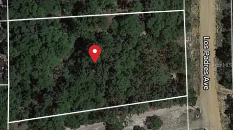 7576 Los Padres Avenue Keystone Heights FL 32656