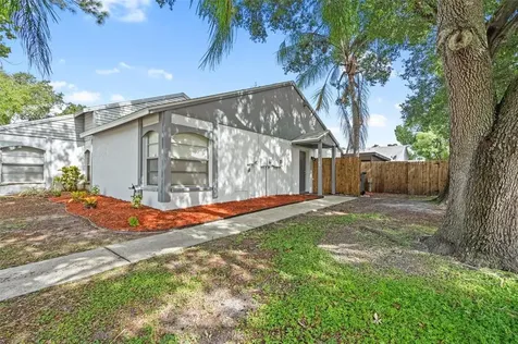 7705 Citronella Court Tampa FL 33625