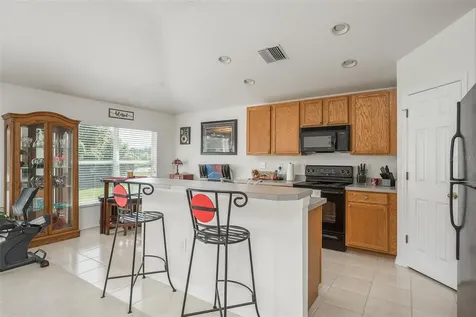 6016 Blue Sage Drive Land O Lakes FL 34639