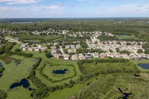 6016 Blue Sage Drive Land O Lakes FL 34639