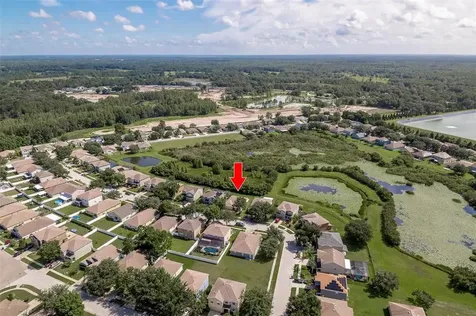 6016 Blue Sage Drive Land O Lakes FL 34639