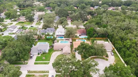 6103 Oak Fern Court Temple Terrace FL 33617