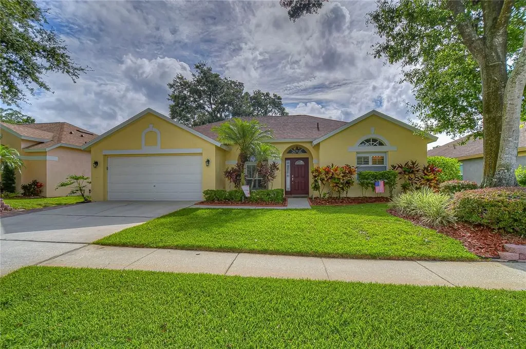 12819 Big Sur Drive Tampa FL 33625