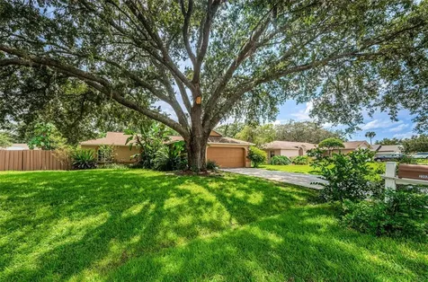 23024 Mayfair Road Land O Lakes FL 34639
