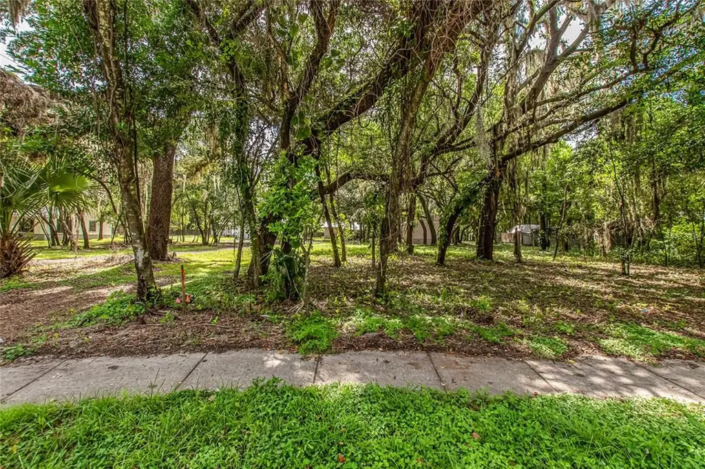 12402 N 53rd Street Temple Terrace FL 33617